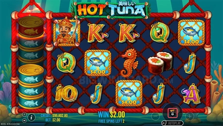 Live Casino Experience